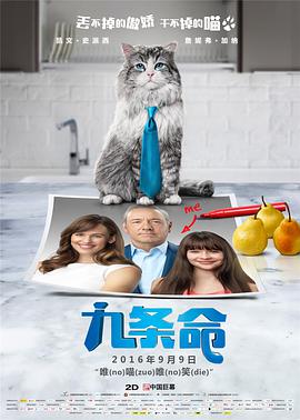 国产美女视频黄a视频免费