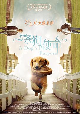 技师用舌头按摩使我高潮