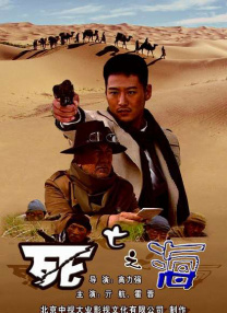 99国内精品久久久久久久