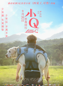 久久99热精品免费观看无卡顿