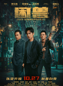 伊人网伊人网